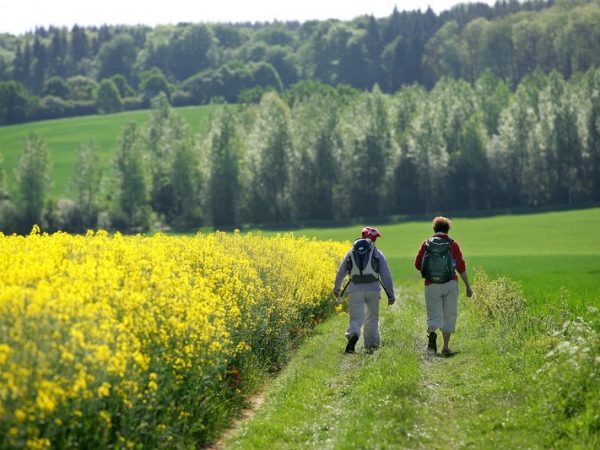 Marche Adeps à Celles